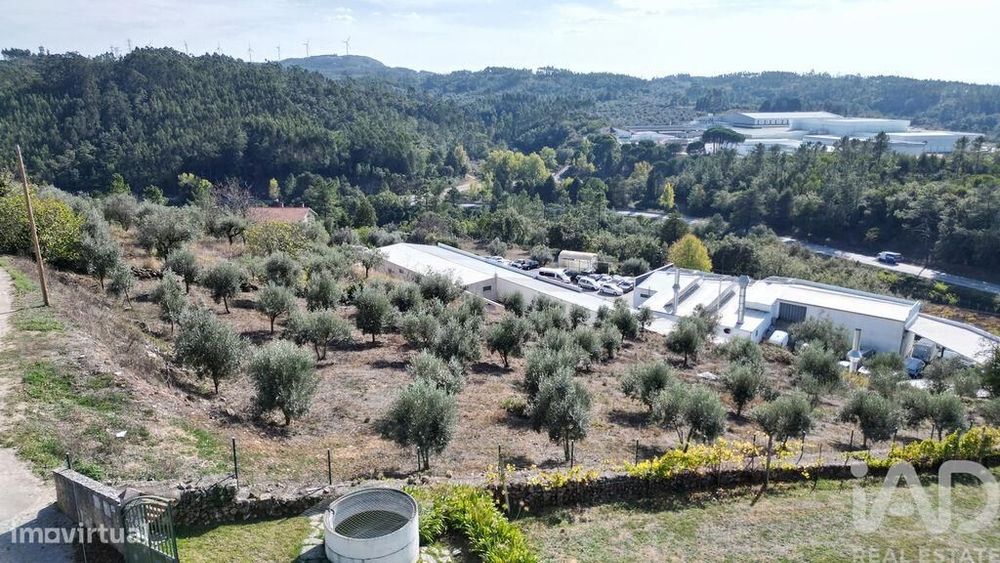Terreno para construção em São Miguel, Santa Eufémia e Rabaçal