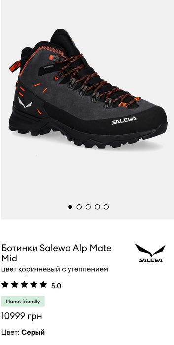 Черевики Salewa MS ALP Mate Winter MID WP