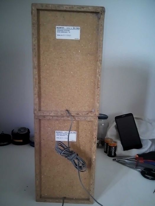 Par de Colunas Sony SS-CNE3