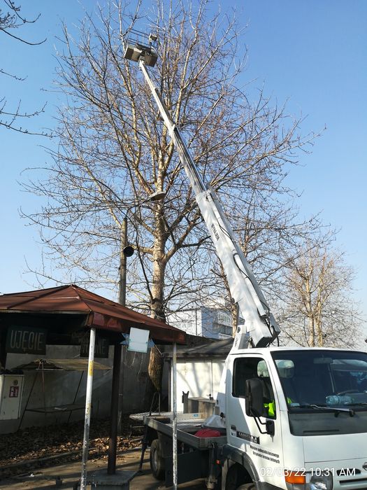 Wycinka drzew z podnośnika, przycinka/rębakowanie/frezowanie.UBEZPIECZ