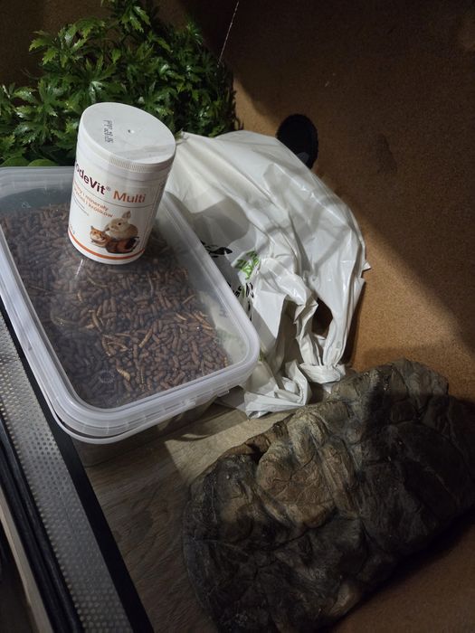 Terrarium akwarystyczne