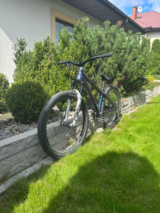 NS Decade cameleon, pike dj, chromag