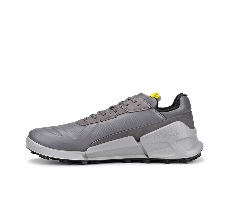 Кроссовки ECCO  Biom 2.1 x Mountain. Оригинал. Р 42, 43