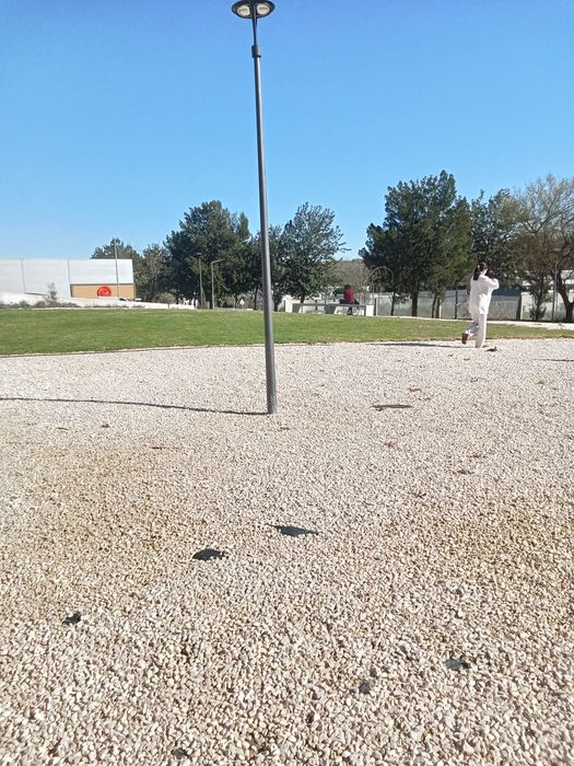 Limpeza de terrenos, lotes e quintais em Lisboa