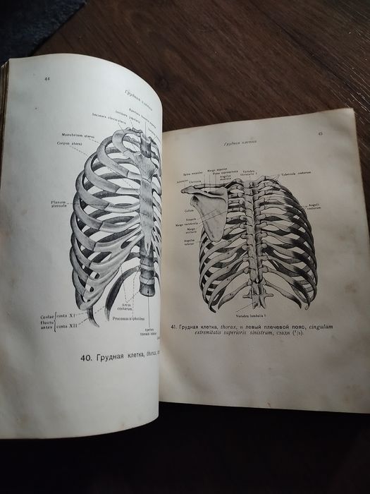 Атлас анатомии человека.