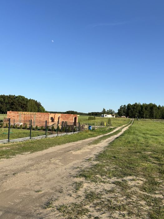 Działka budowlana k. Skierniewic Budy Trzcińskie - Widok 5