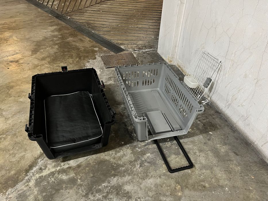 Transportadora para cão