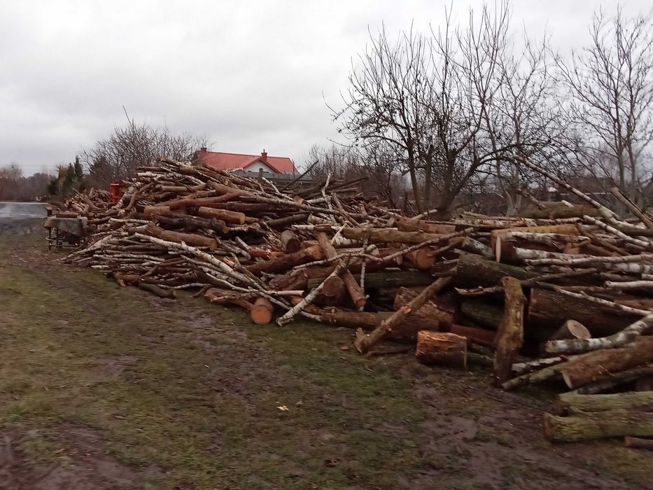 Sprzedam drewno opałowe