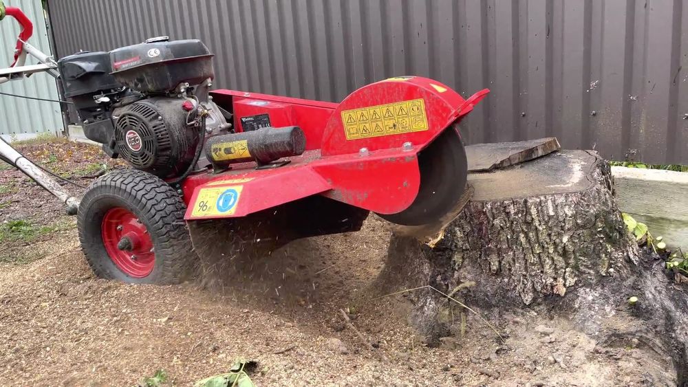 Измельчение веток и удаление проблемных пней. - Інші послуги Дніпро на Olx