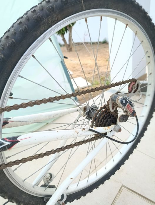 Bicicleta adulto