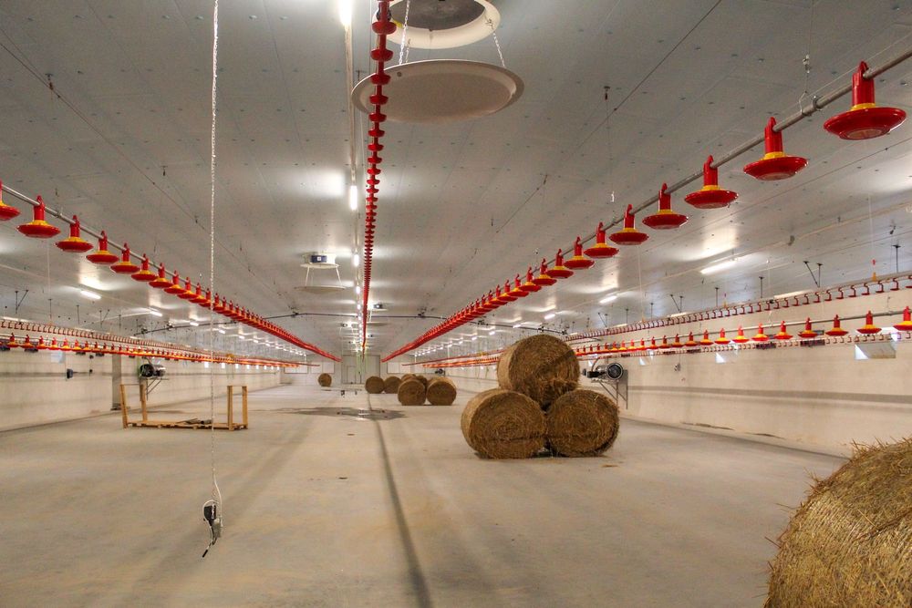 Styrodur XPS AGRO Płyty Izolacyjne Dachowe Obornickie Nie Warstwowe