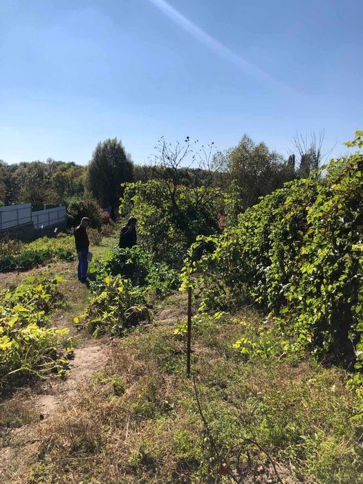 17 сот берег Росі