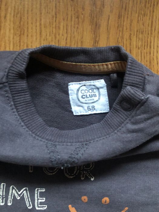 Bluza szara niemowlęca dla chłopczyka, rozmiar 68, COOL CLUB by Smyk
