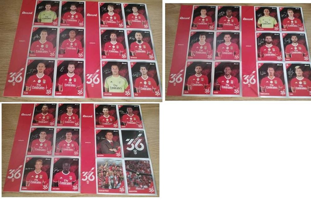 Colecçoes de Cromos - S. L. Benfica