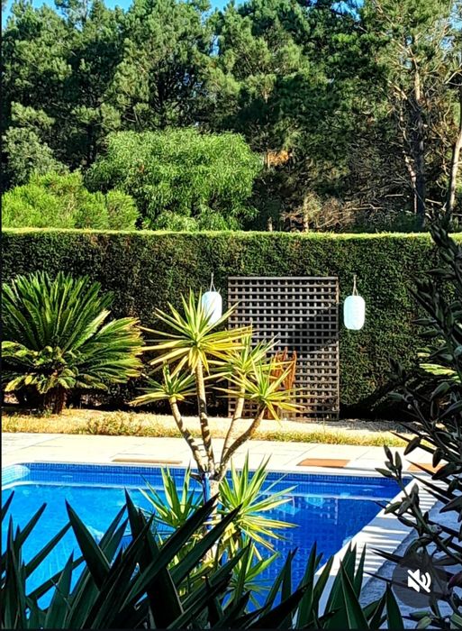 Arrendar Casa-Moradia-Propriedade/Algarve-Aljezur-Costa Alentejana