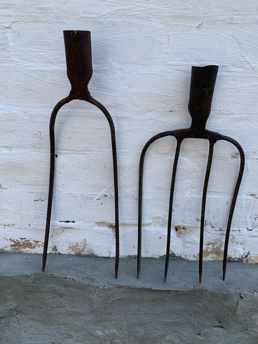 Продаю двое выл б/у