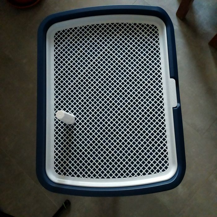 WC para cães medio porte