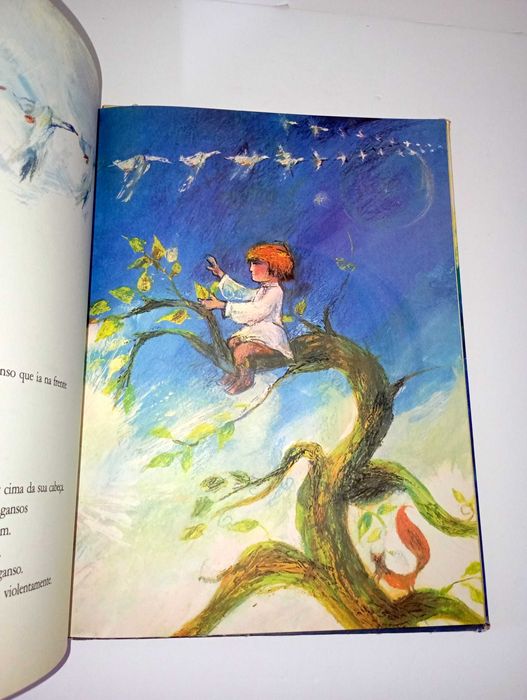 Ivan e o Ganso - Mischa Damjan