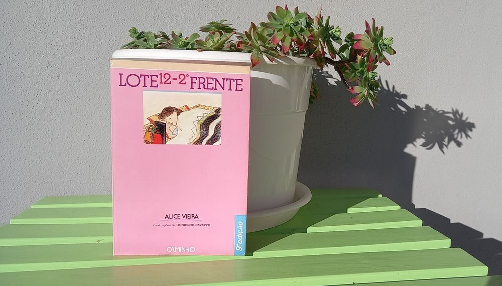 Livro "Lote 12, 2o frente", de Alice Vieira