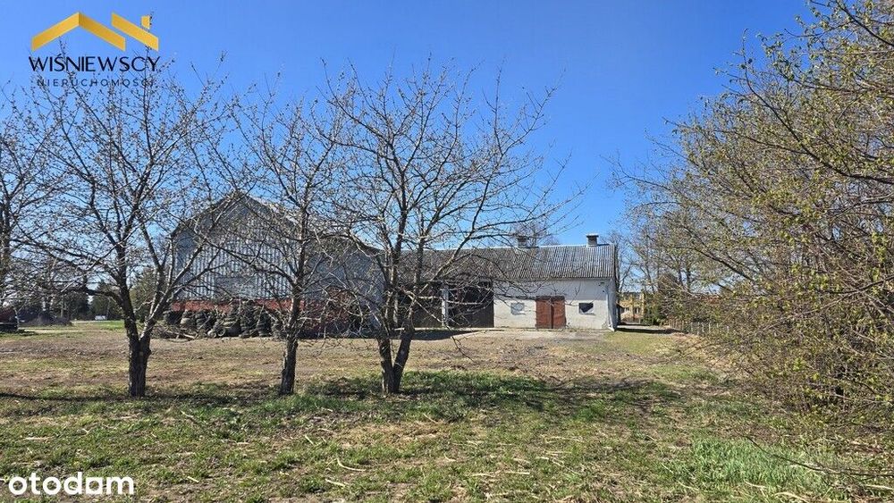 Dom z zabudowaniami, działka 5300m², Kościeleczki