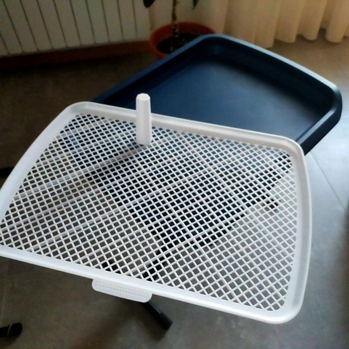 WC para cães medio porte