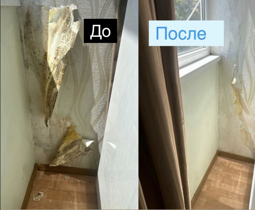 Знищення грибка , плісняви з гарантіею 3 роки. Удаление плесени грибок