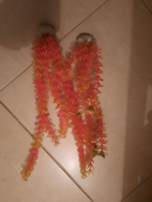 Decoração de Aquário