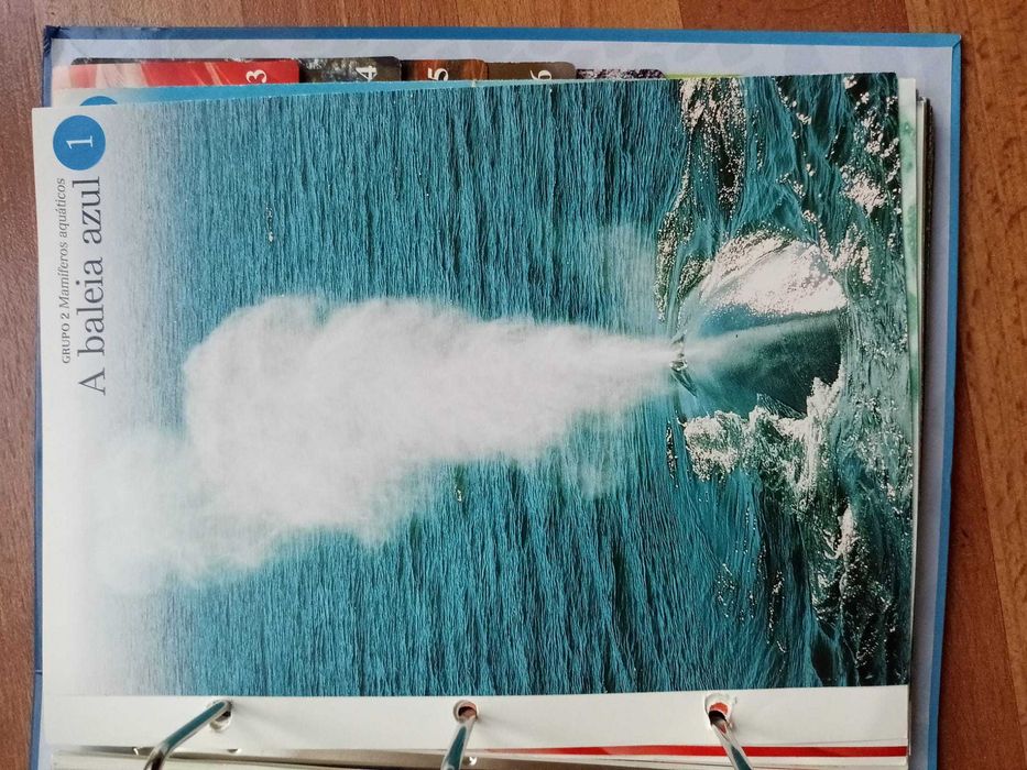 Livro do mundo animal