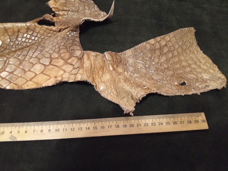 Куски кожи ,, Croco "ЭКЗОТИЧЕСКАЯ КОЖА