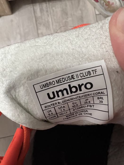 Сороконіжки umbro medusae