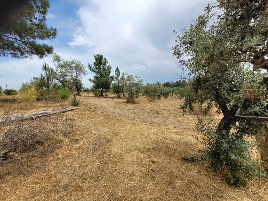 Conheça a quinta com que sempre sonhou.