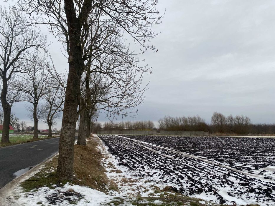 Działka z warunkami zabudowy , Niestuszewo - Widok 2