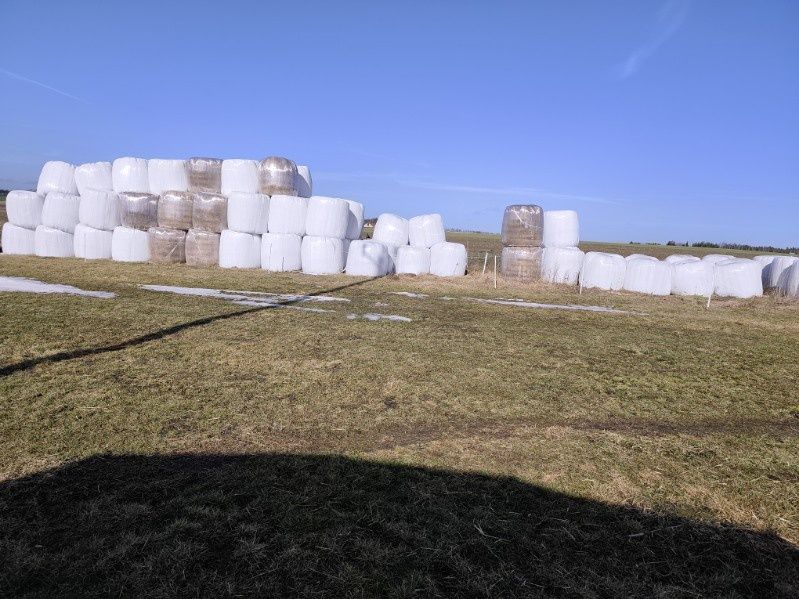 Sianokiszonka sucha  / Słoma