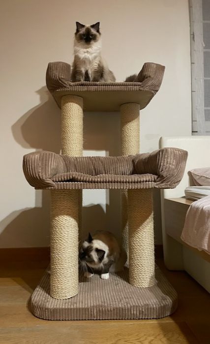 Podwójny drapak dla kota, dwa legowiska, XXL