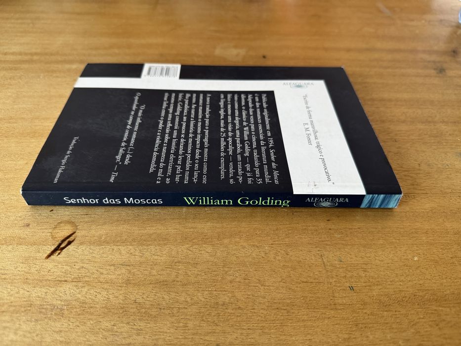 Senhor das Moscas - William Golding