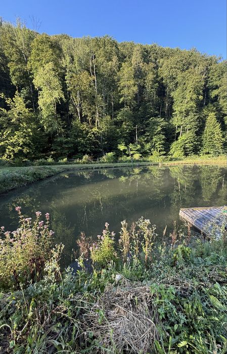 Будинок для Відпочинку Закарпаття, м. Свалява.