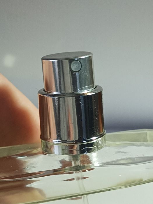 Chanel platinum egoiste edt 100 ml