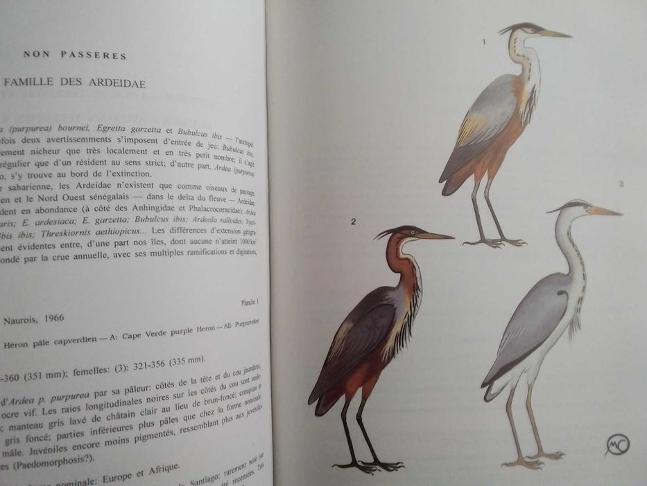 As Aves do Arquipélago de Cabo Verde