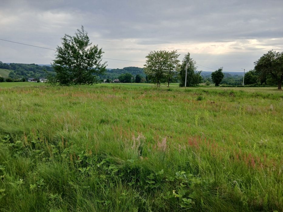 Działka budowlana  w malowniczym miejscu