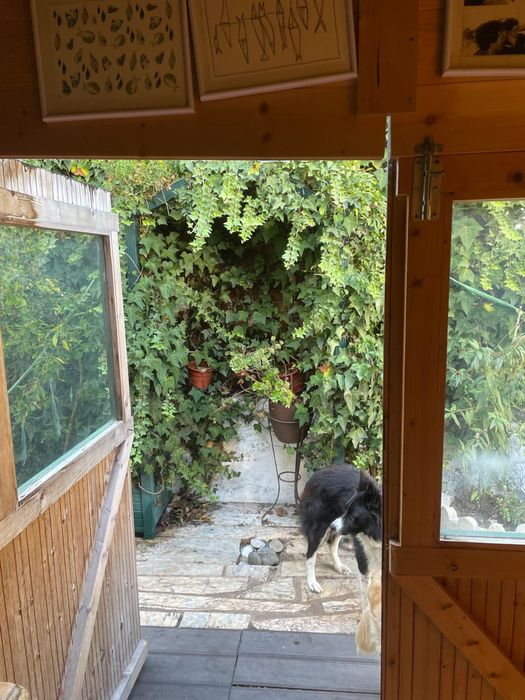 T3 + T2 independentes com quintal