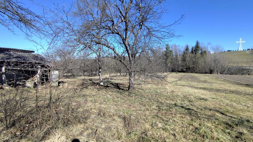 Продається будинок. Старуня. Газ. Вода. Ділянка 46 сот. Ліс. Ластівці