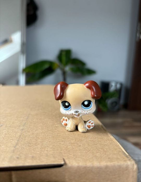 piesek bokser LPS #143