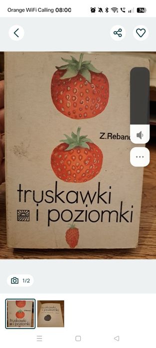Książka truskawki i poziomki 16