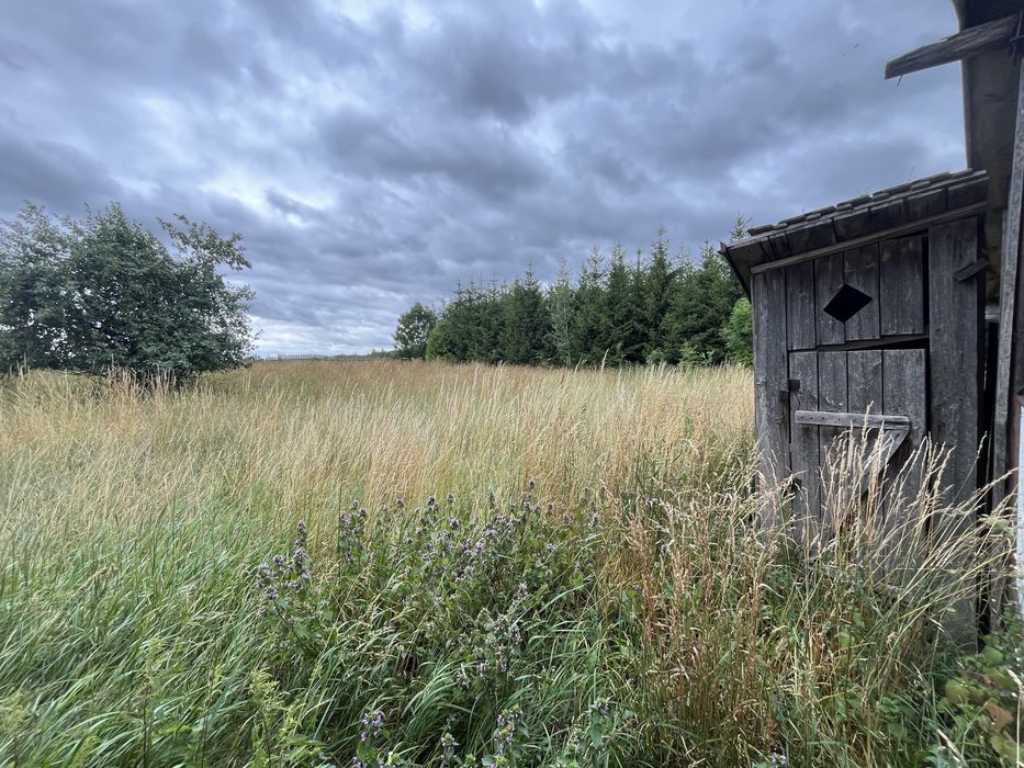 Klimatyczne Siedlisko * Gorodzisko * Szlak Żubra
