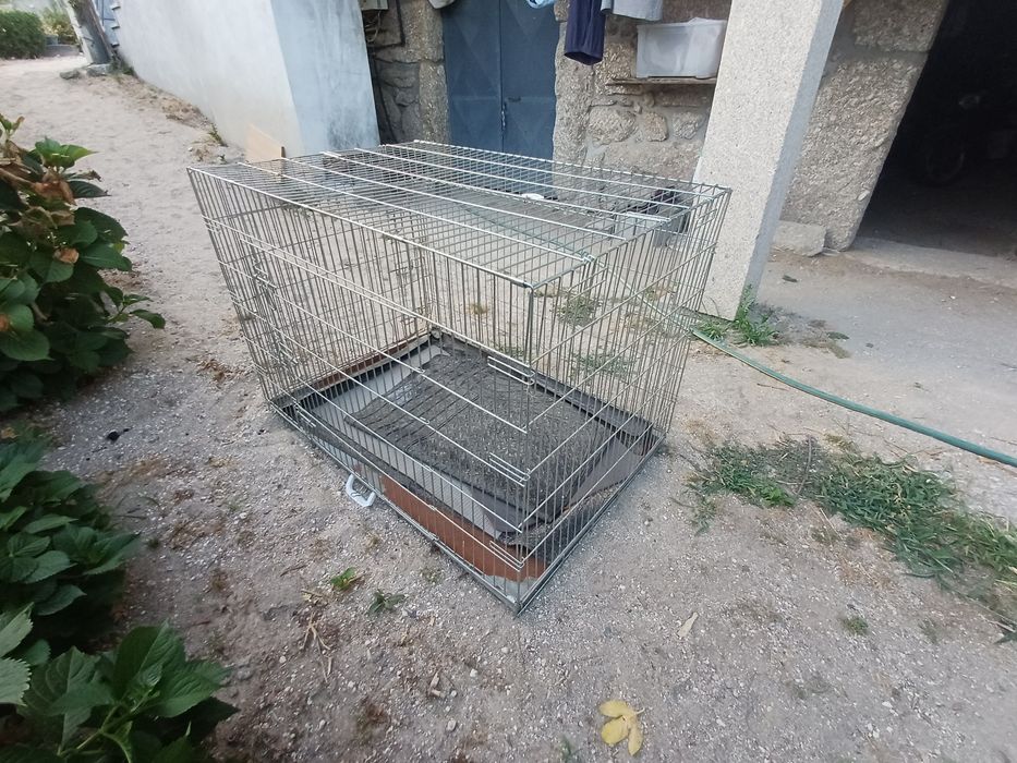Transportadora/ jaula para caes muito grande