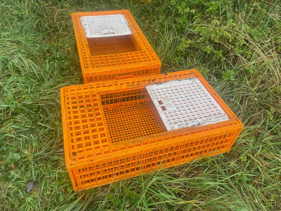 klatka klatki skrzynki pojemniki do transportu drobiu zwierząt ptaków stan Bardzo dobry!