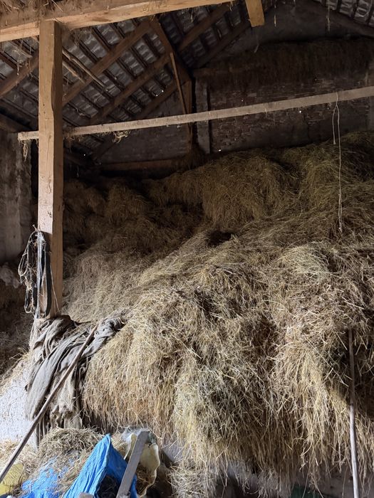 Oddam słome i siano