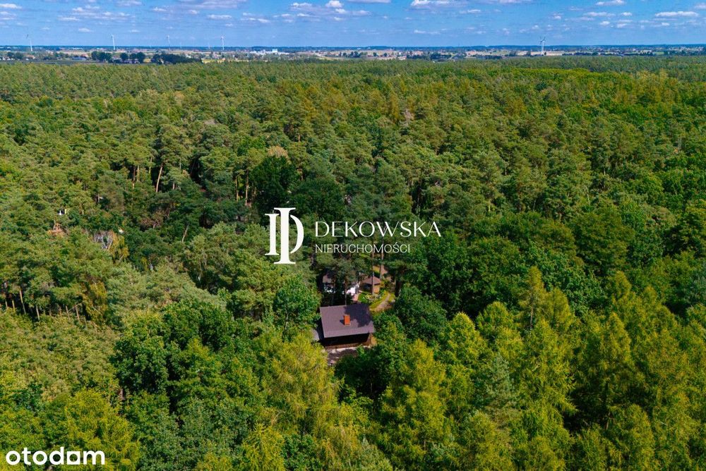 Dom letniskowy w Kamionkach Małych