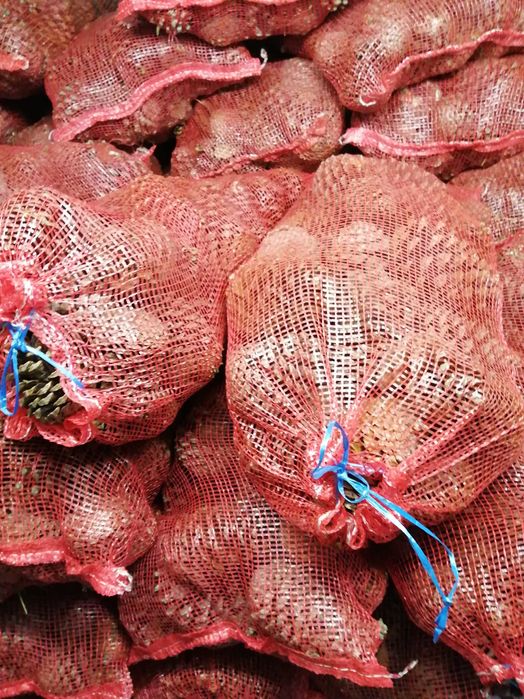 Lenha seca ao saco e ao Metro cúbico