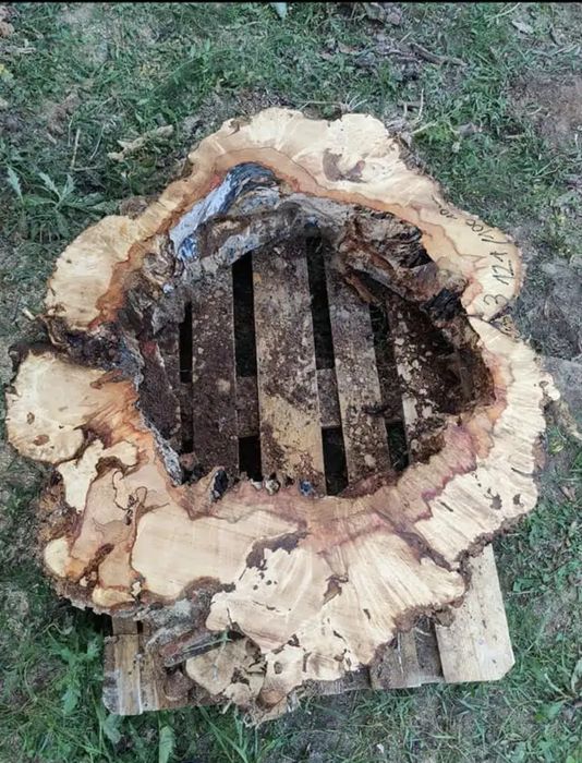 Ogromne plastry na stół lustro monolity orzech jesion czeczota klon